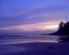Baga beach